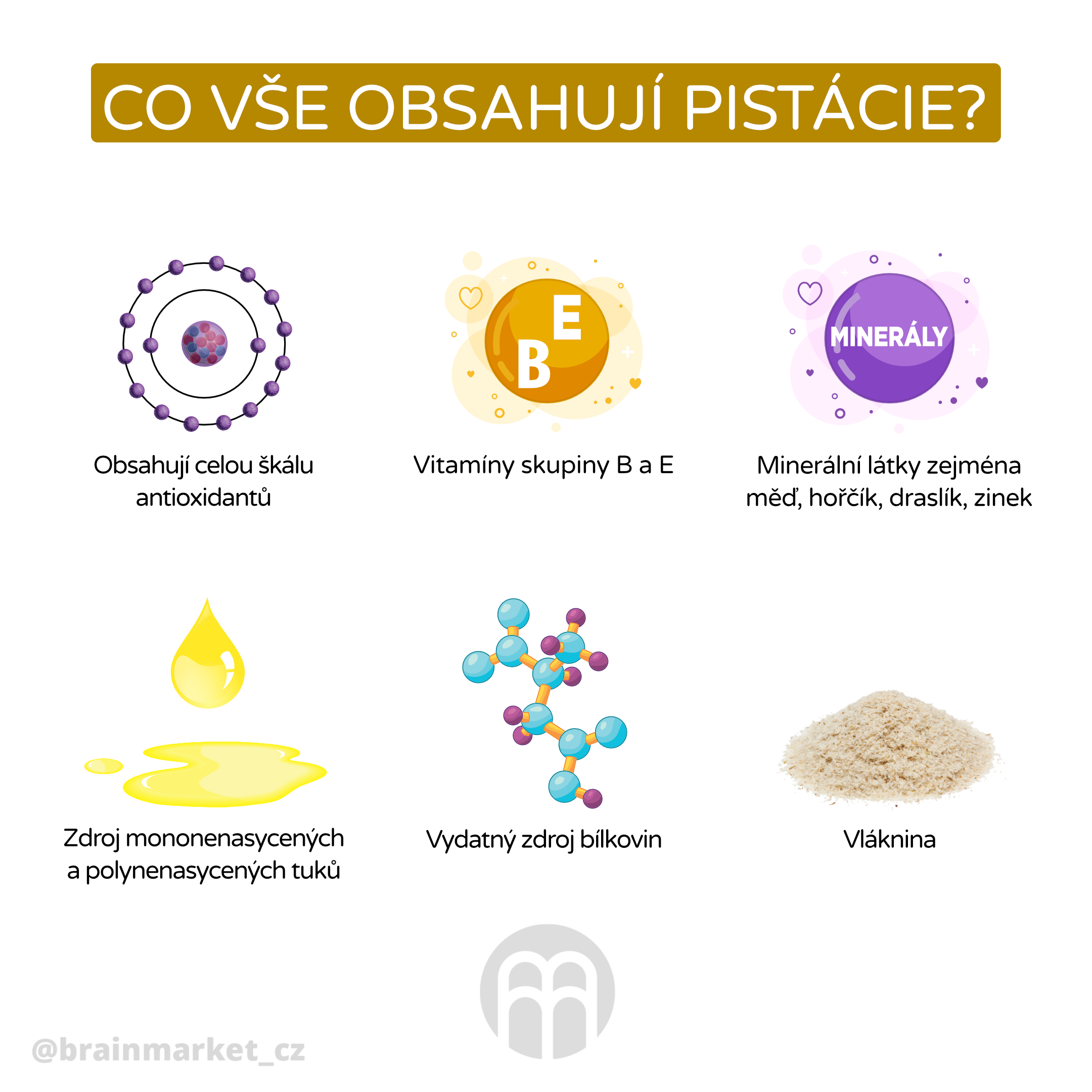 co vse obsahuji pistacie_infografika_cz